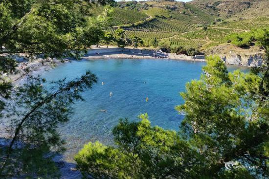 Appart Coeur De Village - Proche Des Criques Port Vendres Zewnętrze zdjęcie